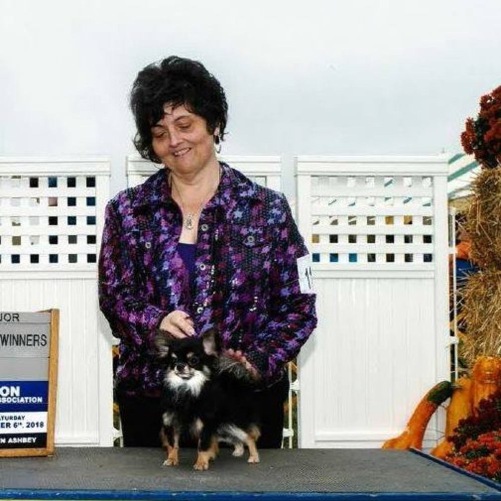 Meet your Posher, Melissa